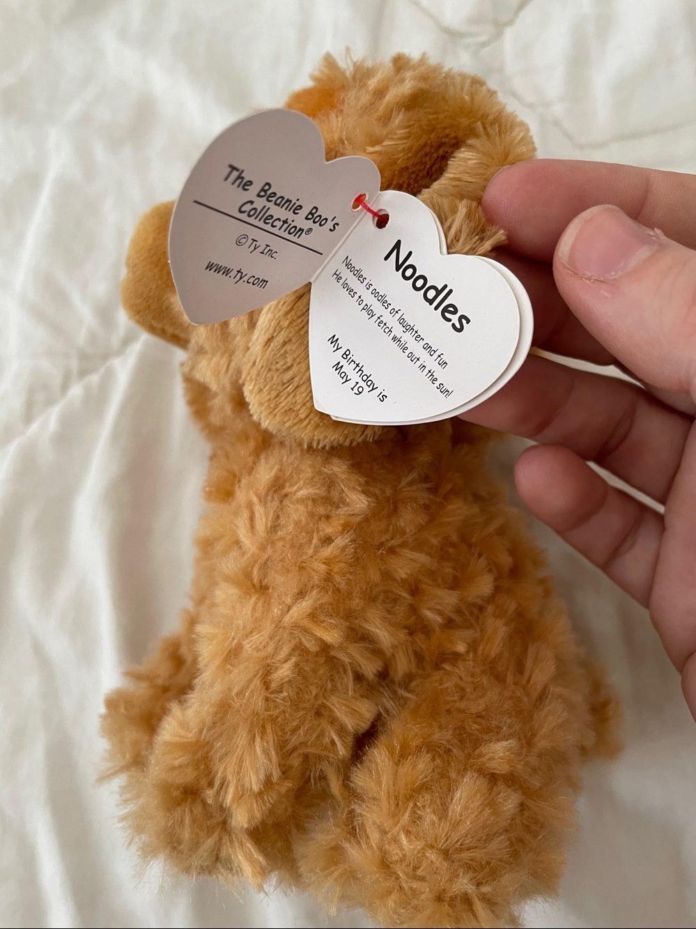Small ty noodles dog Plush - Picture 3 of 5